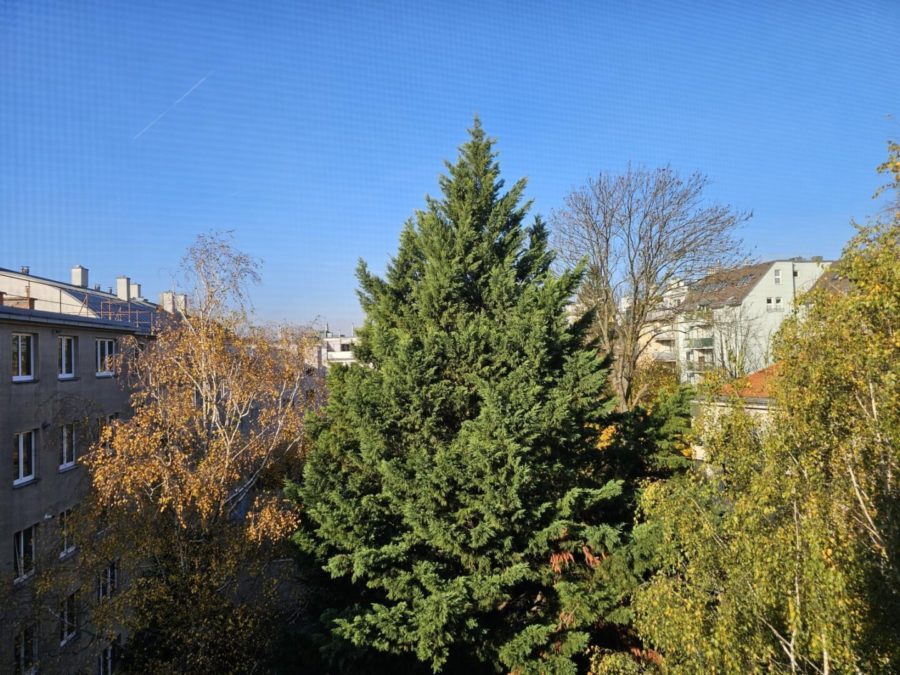 Geräumige, sonnige 3-Zimmer Wohnung mit Loggia - Titelbild