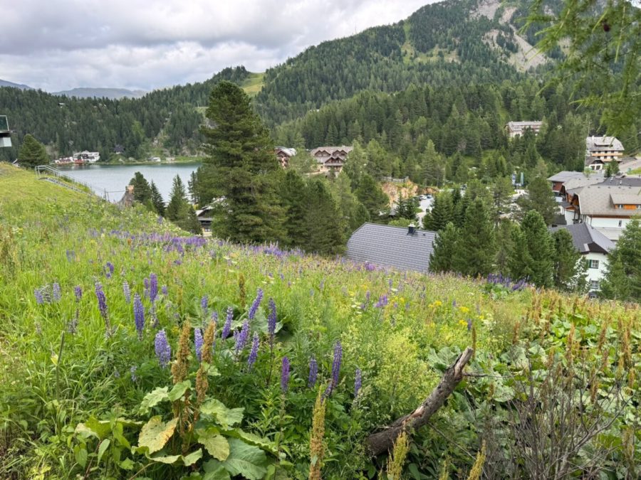 Turracher Höhe - Ein Grundstück mit Seltenheitswert – ideal für eine hochwertige touristische Entwicklung. Baugrundstück für eine kleine Apartmentanlage - DIREKT bei der Piste und der Talstation 