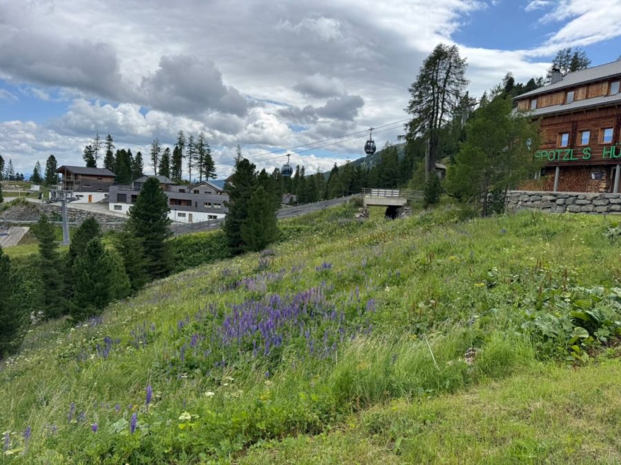 Turracher Höhe - Ein Grundstück mit Seltenheitswert – ideal für eine hochwertige touristische Entwicklung. Baugrundstück für eine kleine Apartmentanlage - DIREKT bei der Piste und der Talstation 