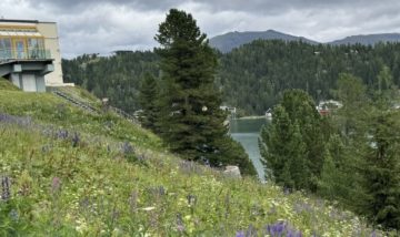 Turracher Höhe – Ein Grundstück mit Seltenheitswert – ideal für eine hochwertige touristische Entwicklung. Baugrundstück für eine kleine Apartmentanlage – DIREKT bei der Piste und der Talstation „Panoramabahn“, 9565 Turracherhöhe, Freizeitimmobilie