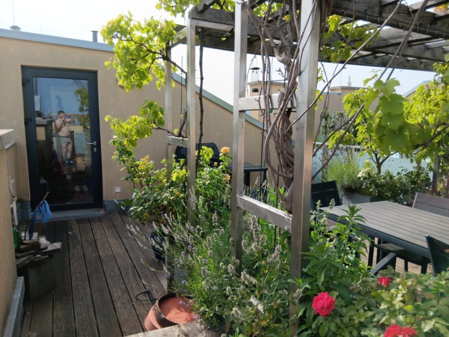 Neuwertige Dachterrassenwohnung mit Fernblick ! - Bild
