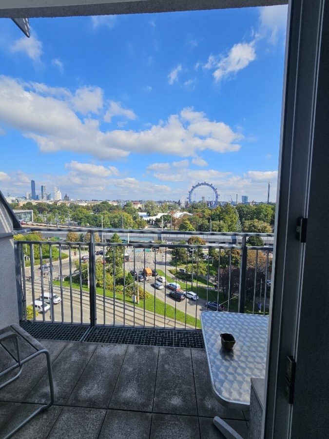Traumhafte Terassenwohnung mit Wienblick! - Bild