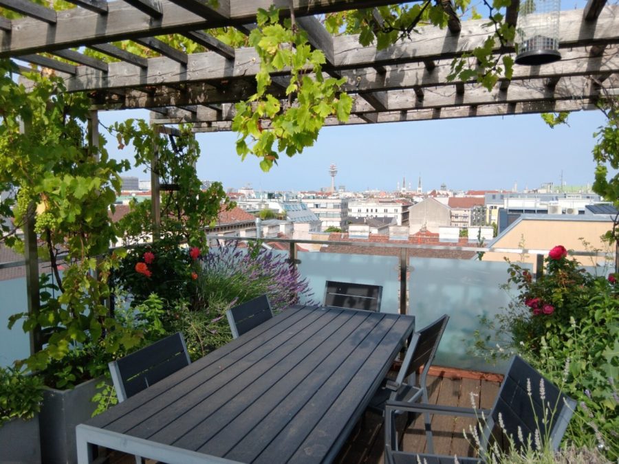 Neuwertige Dachterrassenwohnung mit Fernblick ! - Bild
