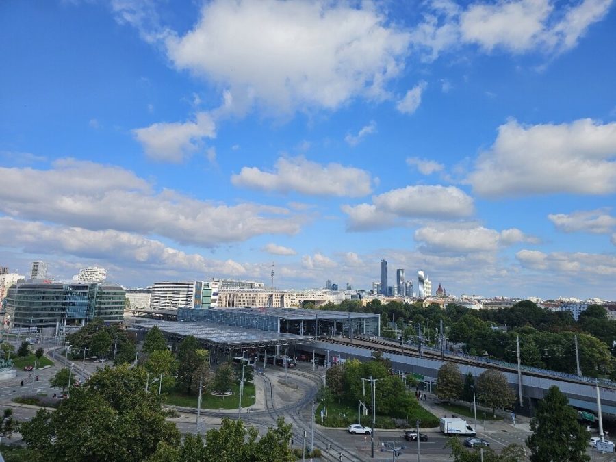 Traumhafte Terassenwohnung mit Wienblick! - Bild