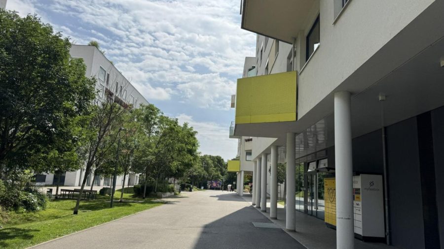 Alles, was ein schönes Zuhause ausmacht und noch etwas mehr... - Bild