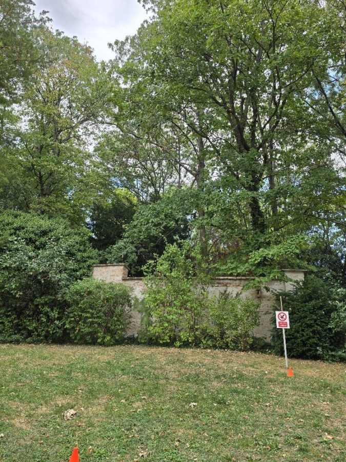 Helle. sonnige 3 Zimmer Eigentumswohnung in Grünruhelage nähe Hetzendorferschloßpark - Bild